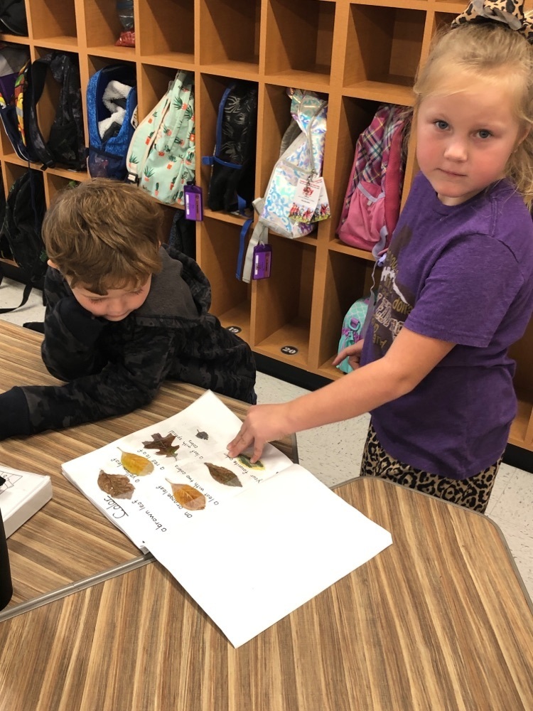 Sharing our Leaf Scrapbook with 1st Grade 