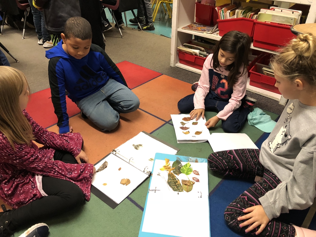 Mrs. Matocha’s class enjoying learning about leaves from our 2nd grade friends in Mrs. Schmidt’s room. 